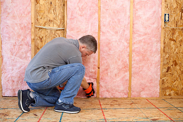 Best Commercial Insulation Contractor  in Shenandoah, VA